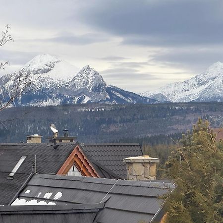 Eco Willa Karpatia Ski&Wellness 穆扎希赫尔 外观 照片