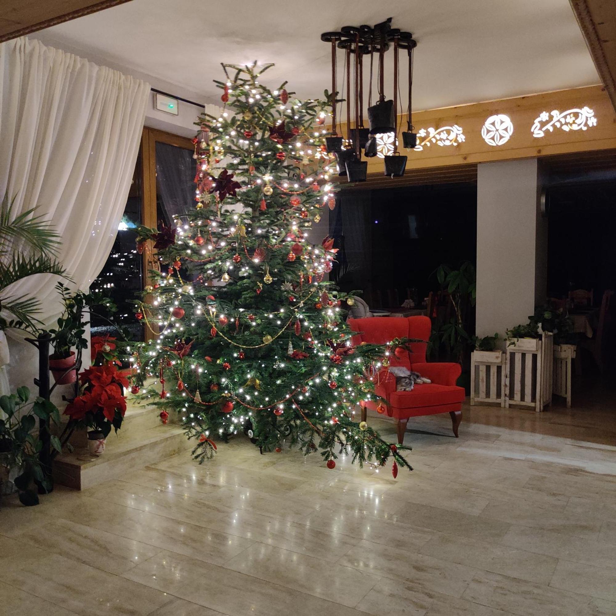 Eco Willa Karpatia Ski&Wellness 穆扎希赫尔 外观 照片