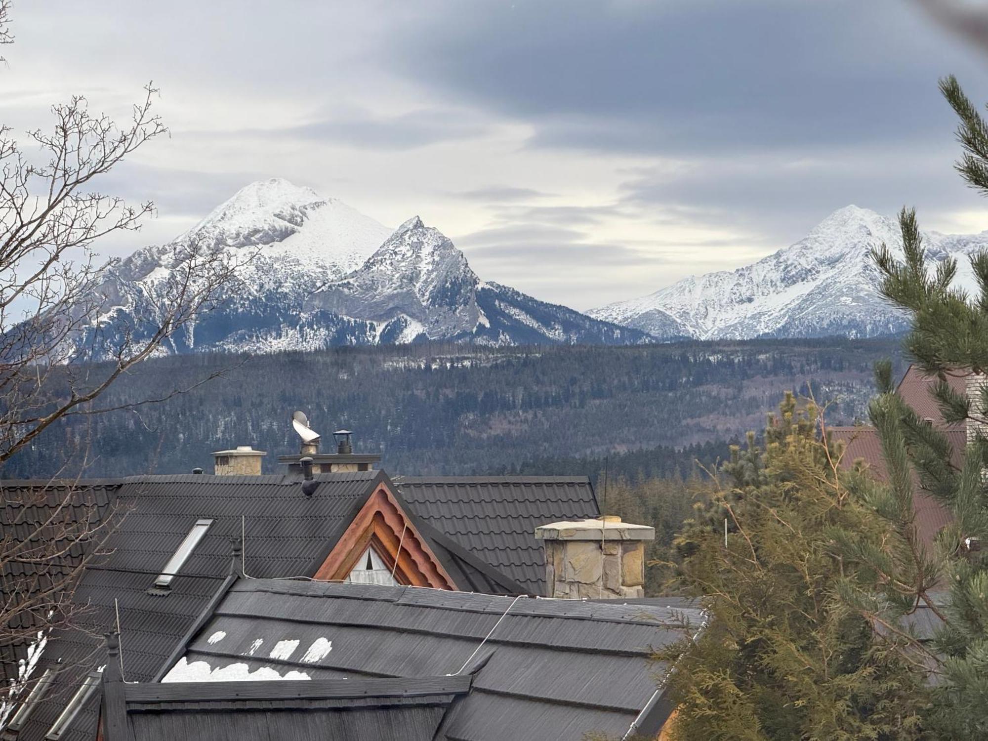 Eco Willa Karpatia Ski&Wellness 穆扎希赫尔 外观 照片